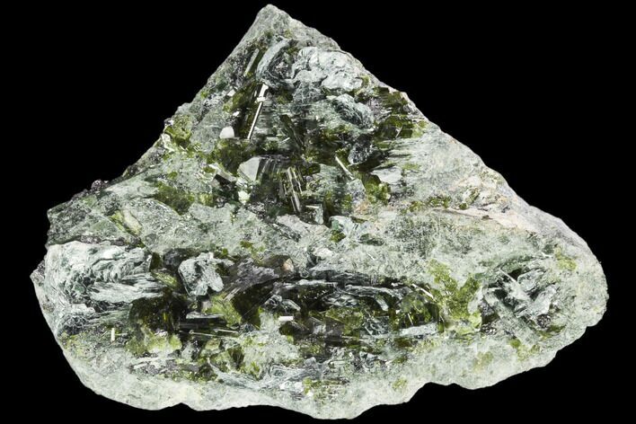 Epidote & Biotite Association - Afghanistan #122667